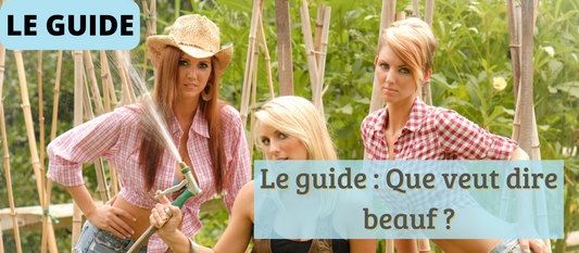 Le guide : Que veut dire beauf ?